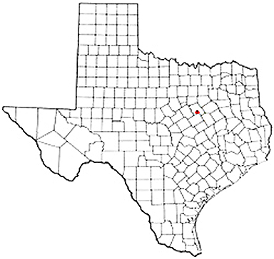 Abbott Texas Apostille Document Services
