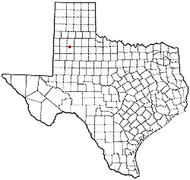 Abernathy Texas Apostille Document Services