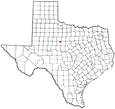 Abilene Texas Apostille Document Services