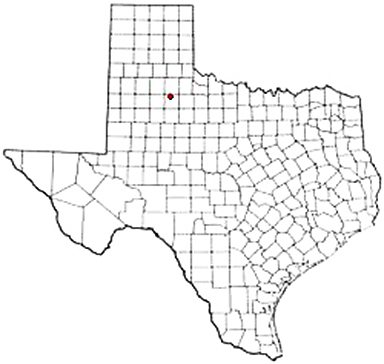 Afton Texas Apostille Document Services
