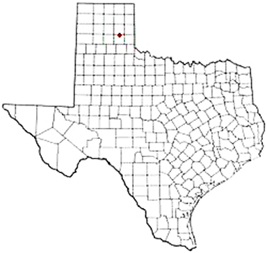 Alanreed Texas Apostille Document Services
