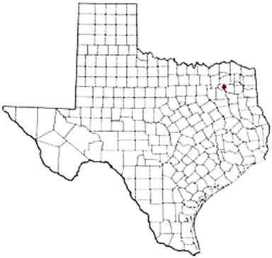 Alba Texas Apostille Document Services