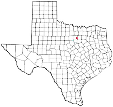 Aledo Texas Apostille Document Services