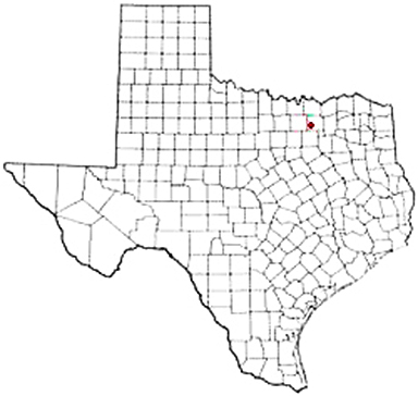 Allen Texas Apostille Document Services