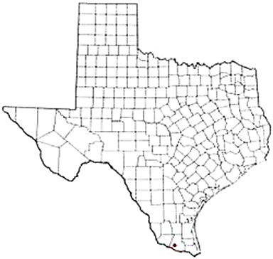 Alto Texas Apostille Document Services