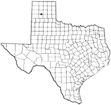 Amarillo Texas Apostille Document Services