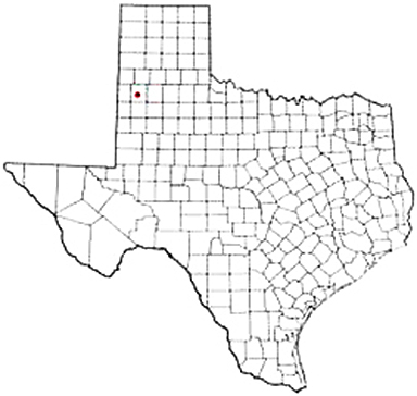 Amherst Texas Apostille Document Services