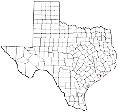 Angleton Texas Apostille Document Services