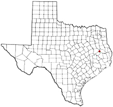 Apple Springs Texas Apostille Document Services