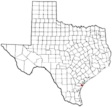 Aransas Pass Texas Apostille Document Services