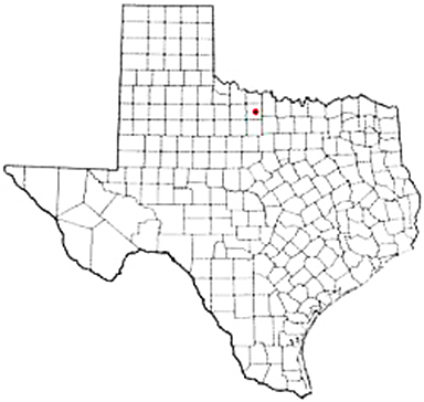 Archer City Texas Apostille Document Services