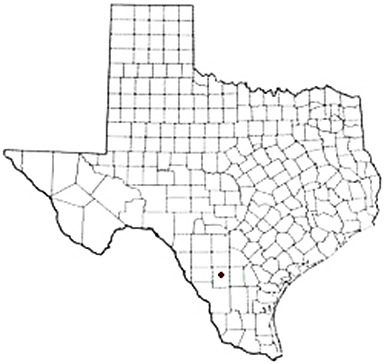 Artesia Wells Texas Apostille Document Services
