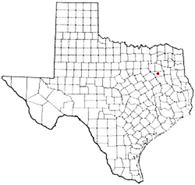 Athens Texas Apostille Document Services