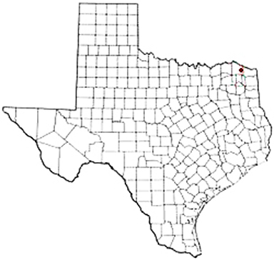 Avery Texas Apostille Document Services