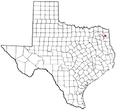 Avinger Texas Apostille Document Services