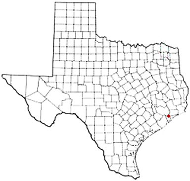 Bacliff Texas Apostille Document Services