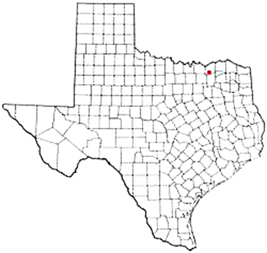 Bailey Texas Apostille Document Services