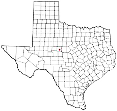 Ballinger Texas Apostille Document Services