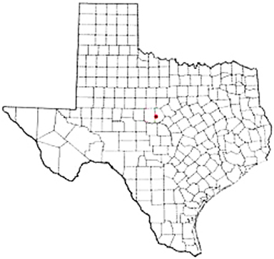Bangs Texas Apostille Document Services