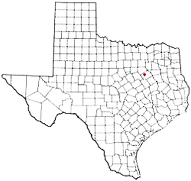 Barry Texas Apostille Document Services