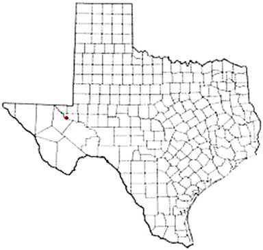 Barstow Texas Apostille Document Services