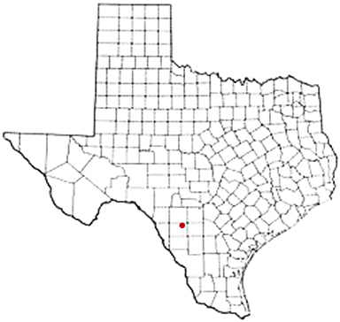 Batesville Texas Apostille Document Services