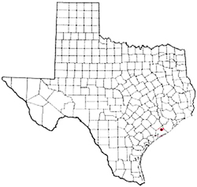 Bay City Texas Apostille Document Services