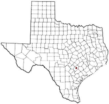 Bebe Texas Apostille Document Services