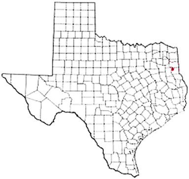 Beckville Texas Apostille Document Services