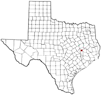 Bedias Texas Apostille Document Services