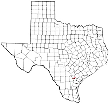 Beeville Texas Apostille Document Services
