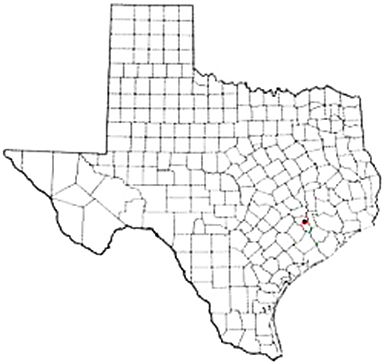 Bellville Texas Apostille Document Services