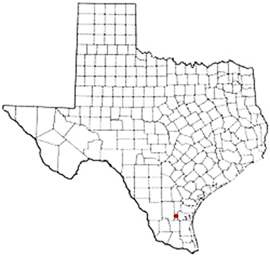 Ben Bolt Texas Apostille Document Services
