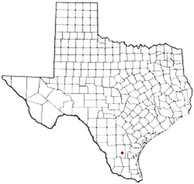 Benavides Texas Apostille Document Services