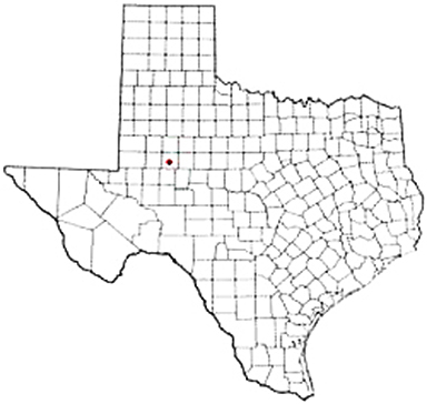 Big Spring Texas Apostille Document Services
