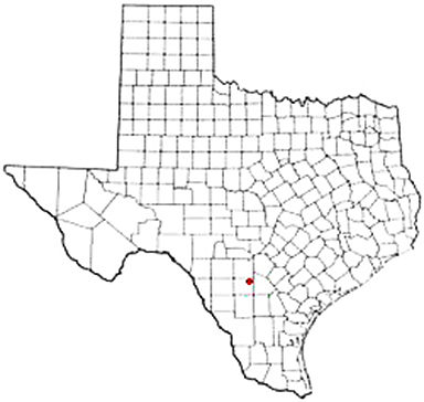 Bigfoot Texas Apostille Document Services