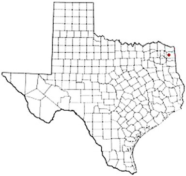 Bivins Texas Apostille Document Services