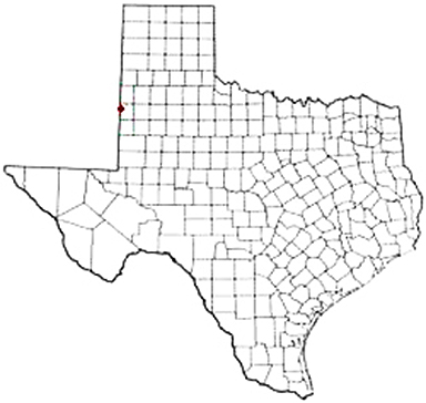 Bledsoe Texas Apostille Document Services