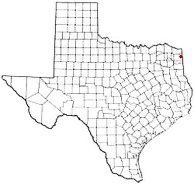 Bloomburg Texas Apostille Document Services