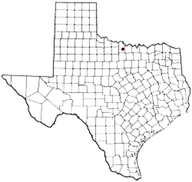 Bluegrove Texas Apostille Document Services