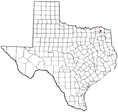 Bogata Texas Apostille Document Services