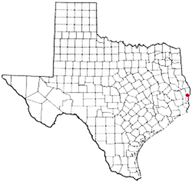 Bon Wier Texas Apostille Document Services