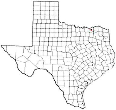Bonham Texas Apostille Document Services