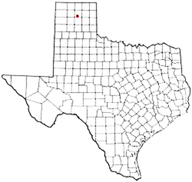 Borger Texas Apostille Document Services