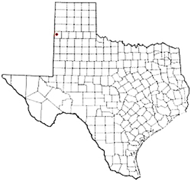 Bovina Texas Apostille Document Services
