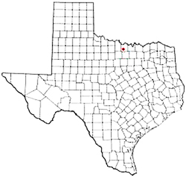 Bowie Texas Apostille Document Services