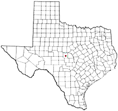 Brady Texas Apostille Document Services