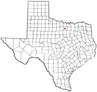 Bridgeport Texas Apostille Document Services
