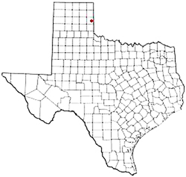 Briscoe Texas Apostille Document Services