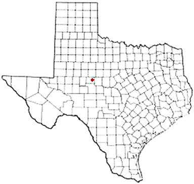 Bronte Texas Apostille Document Services